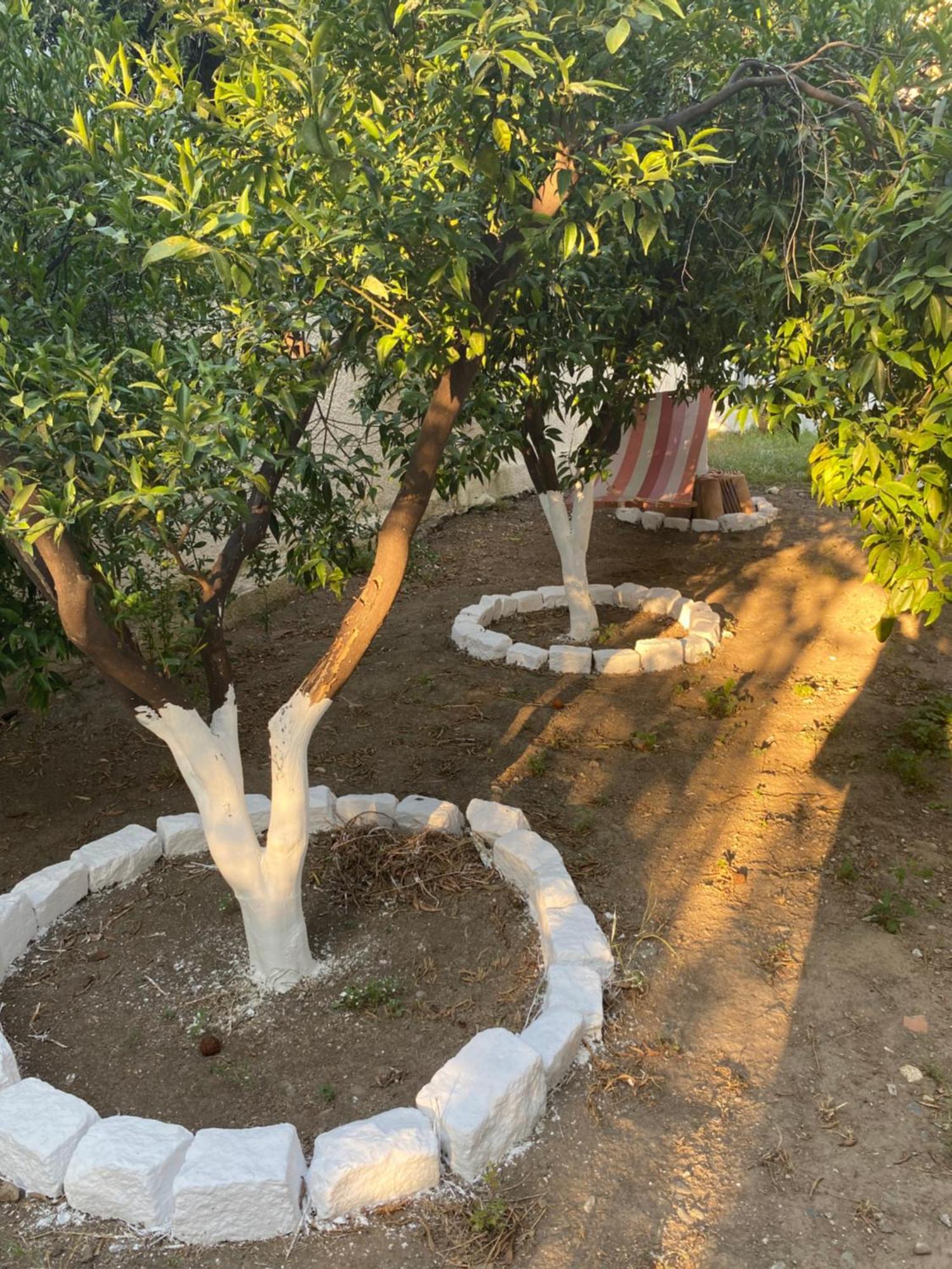 Best Located Ruby Luxury Escape Kalamata Eksteriør billede